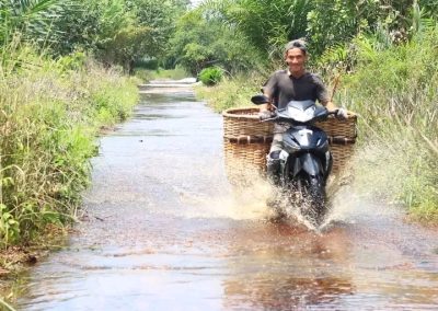 Musim Panas telah kembali