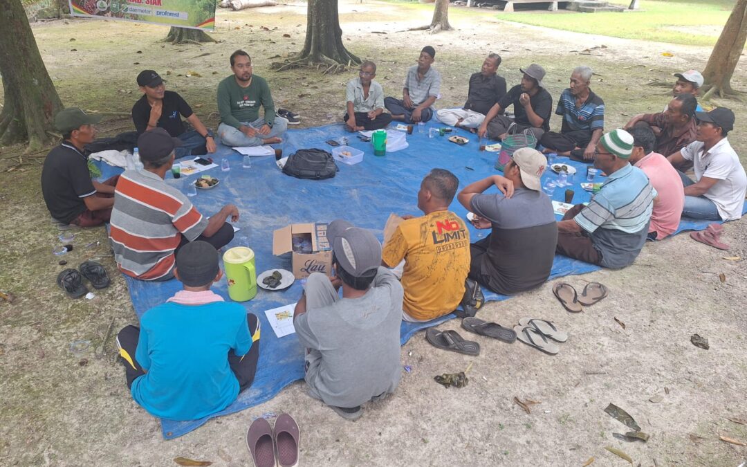 Sekolah Lapang Perkebunan Kelapa Sawit di Kampung Dampingan SPLP Kab. Siak di Sambut Antusias Oleh Petani