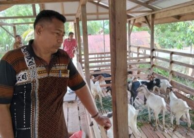 Serahkan 32 ekor Kambing, Pemerintah Kampung Tanjung Kuras Perkuat Ekonomi Masyarakat