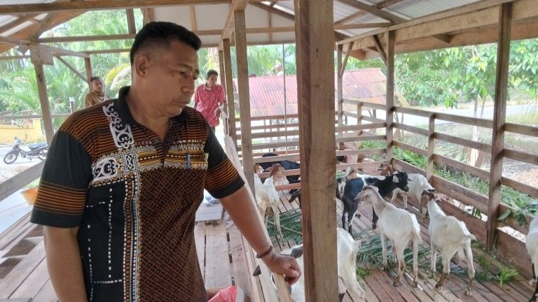 Serahkan 32 ekor Kambing, Pemerintah Kampung Tanjung Kuras Perkuat Ekonomi Masyarakat